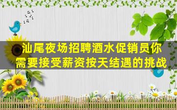 汕尾夜场招聘酒水促销员你需要接受薪资按天结遇的挑战